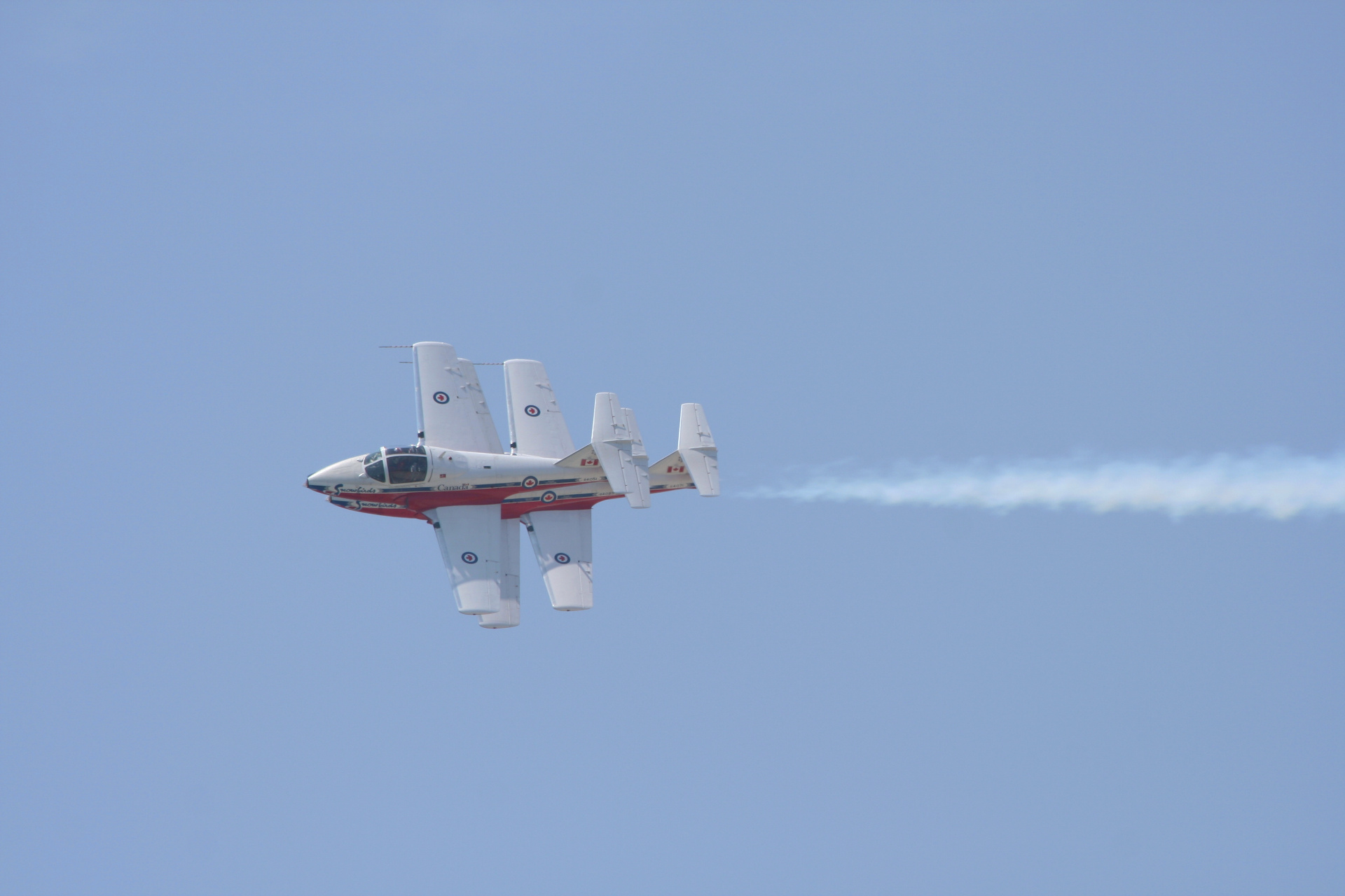 Canadian Snowbirds